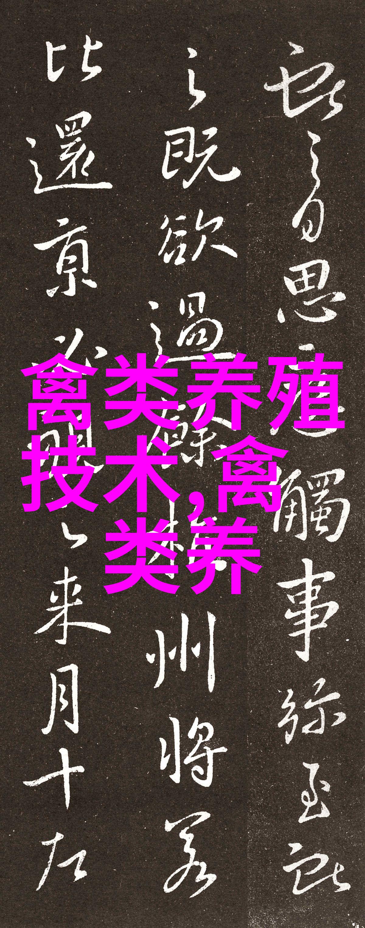 保持蛋鸡产蛋高峰的技术