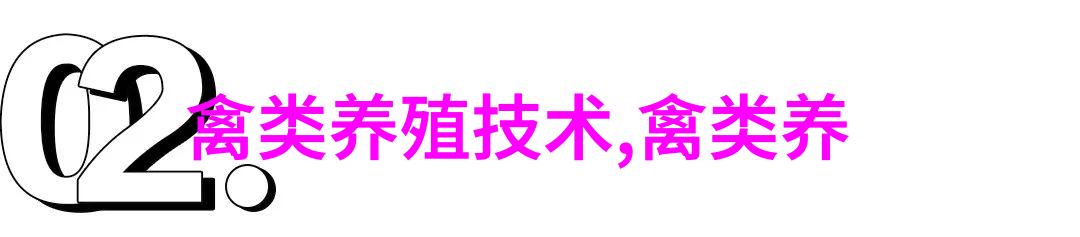 盛夏如何提高蛋鸡产蛋率