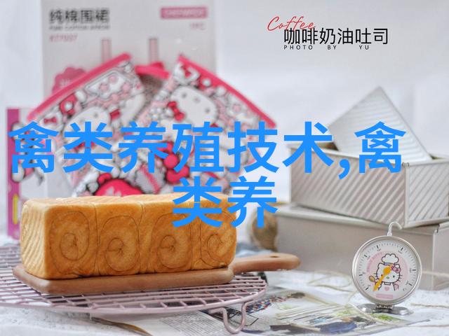 组合式高效栽培鸡腿菇新技术