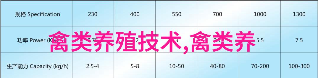 秋季细养产鸡